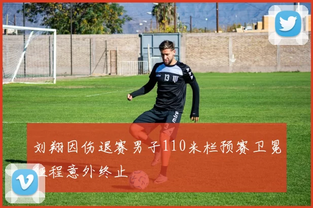 刘翔因伤退赛男子110米栏预赛卫冕征程意外终止