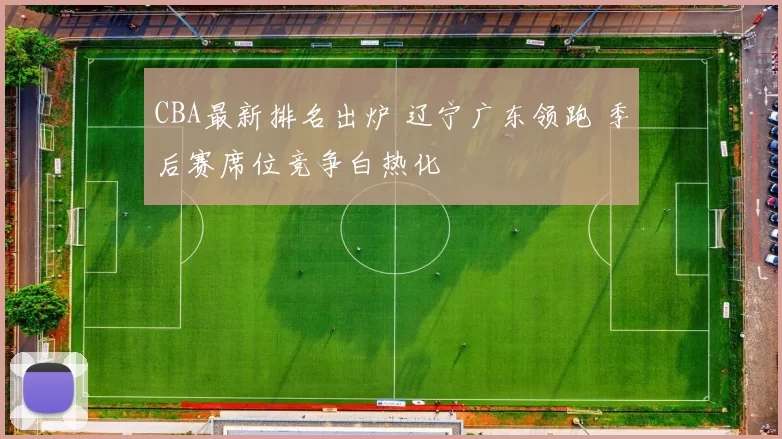 CBA最新排名出炉 辽宁广东领跑 季后赛席位竞争白热化