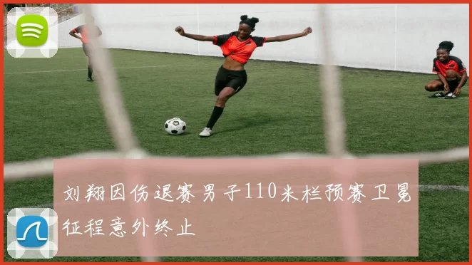 刘翔因伤退赛男子110米栏预赛卫冕征程意外终止